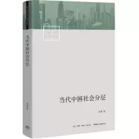 音像当代中国社会分层/中国社会学经典文库李强
