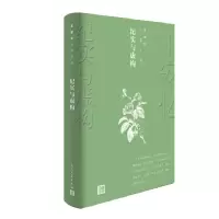 音像纪实与虚构王安忆