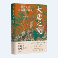 音像大唐之变:安史之乱与盛唐的崩裂袁灿兴