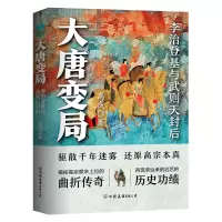 音像大唐变局高成