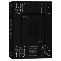 音像别让我消失刘书宇
