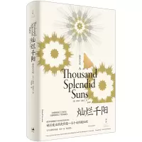 音像灿烂千阳:精装纪念版(美)卡勒德·胡赛尼(Khaled Hosseini)著