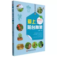 音像爱上阳台种菜孟繁勇