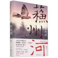 音像苏州河(精)海飞