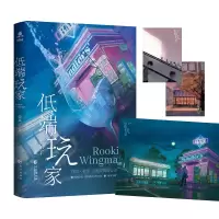 音像低端玩家(青春言情小说)金呆了