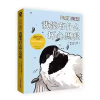 音像我能有什么坏心思呢[加]乔舒亚·巴克曼 著,朱一凡 译