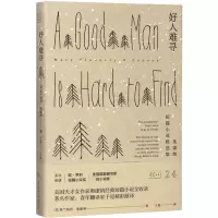 音像好人难寻(奥康纳短篇小说精选集)(精)弗兰纳里·奥康纳