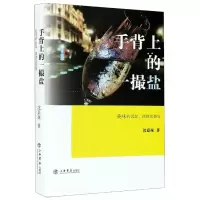 音像手背上的一撮盐(美味的沉淀漂移及裂变)沈嘉禄 著