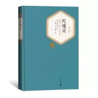 音像死魂灵(精)/名著名译丛书果戈理