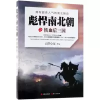 音像彪悍南北朝之铁血后三国云淡心远