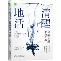 音像清醒地活:自我的生命之旅(美)迈克·辛格