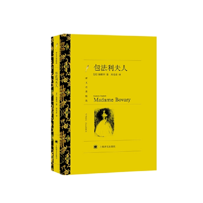 音像包法利夫人(译文名著精选)福楼拜