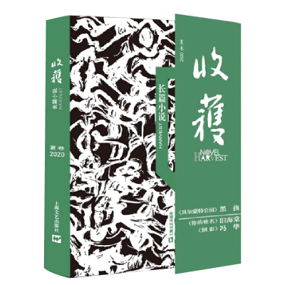 音像收获长篇小说(2020夏卷)《收获》文学杂志社 编