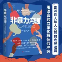 音像非暴力沟通(说出你想说的话)(美)欧伦·杰·苏