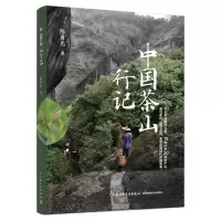 音像中国茶山行记勇
