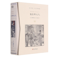 音像包法利夫人(精)/法兰西三大文学经典[法]福楼拜著,许渊冲校