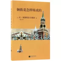 音像钢铁是怎样炼成的尼·奥斯特洛夫斯基
