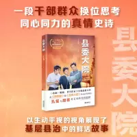 音像县委大院王小