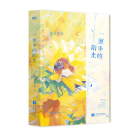 音像一厘米的阳光飞机盒版墨宝非宝