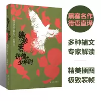 音像德米安:彷徨少年时赫尔曼·黑塞