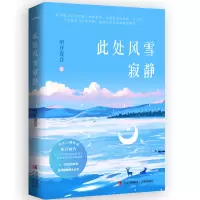 音像此处风雪寂静明开夜合