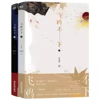 音像飞鸥不下:全2册飞机盒回南雀