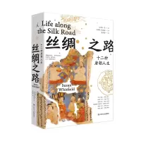 音像丝绸之路:十二种唐朝人生魏泓著,理想 出