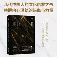音像牛虻[爱尔兰]艾捷尔·丽莲·伏尼契 著,方华文 译