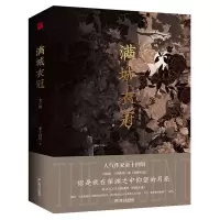 音像满城衣冠(全二册)印签版+飞机盒金十四钗