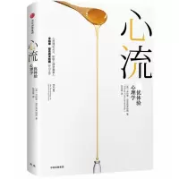 音像心流(体验心理学)(精)米哈里·契克森米哈赖