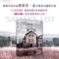 音像撒冷镇/斯蒂芬·金作品系列[美]斯蒂芬·金