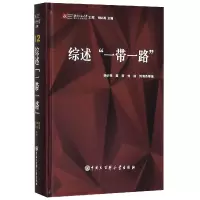 音像综述(精)/北京师范大学新兴市场研究院文库胡必亮