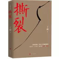 音像撕裂丁捷