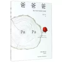 音像爸爸爸(韩少功中短篇小说选)(精)韩少功