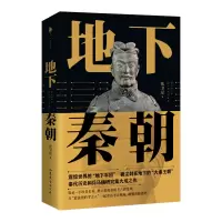音像地下秦朝张卫星