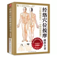 音像经络穴位按摩速查全书(典藏版)陈飞松//赵鹏
