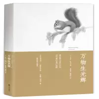 音像万物生光辉(英)吉米·哈利
