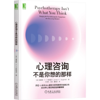 音像心理咨询不是你想的那样(美)詹姆斯·F.T.布根塔尔