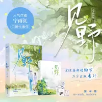音像见野完结篇宁雨沉