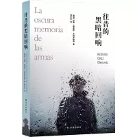 音像往昔的黑暗回响(智)拉蒙·迪亚斯·艾特罗维奇