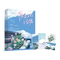 音像陆医生的小玫瑰丁十三