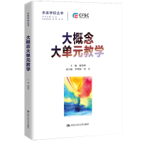 音像大概念大单元教学(未来学校丛书)解慧明