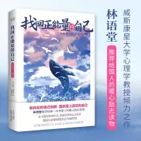 音像找回正能量的自己:治愈系心理学(美)约瑟夫·查斯特罗
