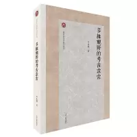 音像多维视野的考古求索李水城 著