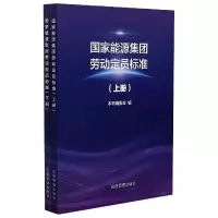 音像能源集团劳动定员标准(上下)能源集团劳动定员标准编委会 编