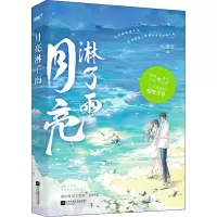 音像月亮淋了雨叶淅宝