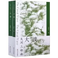 音像大波(上下)/大河三部曲李劼人