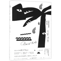 音像天堂消息(精)戴维·洛奇
