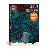 音像海边魔术师孙频