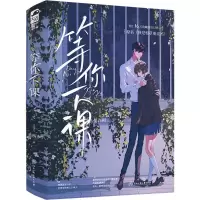 音像等你下课(上、下)墨西柯
